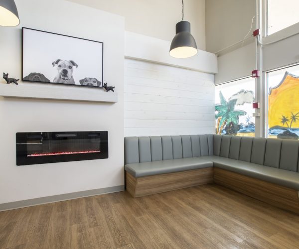 Canine Companion Clinic (1)