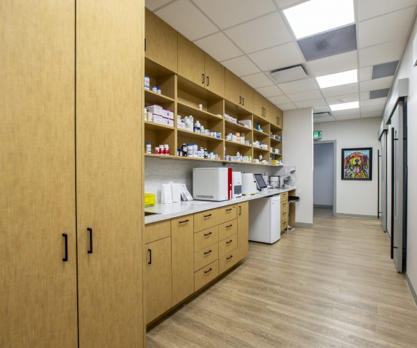 Canine Companion Clinic (10)