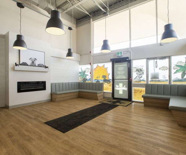 Canine Companion Clinic (2)