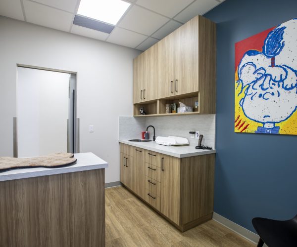 Canine Companion Clinic (5)