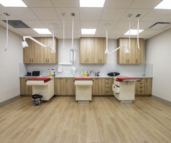 Canine Companion Clinic (9)