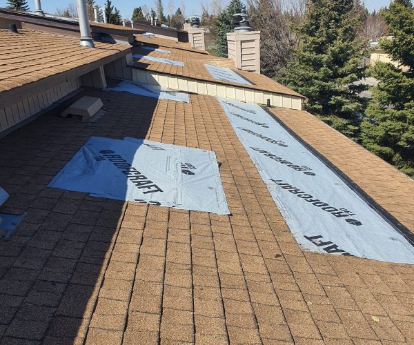 Canterbury Manor (4)