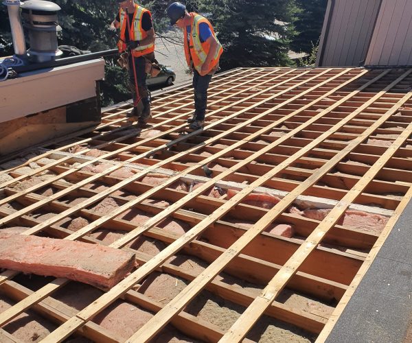 Canterbury Manor (6)