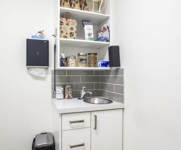 Countryside Veterinary Hospital (8)